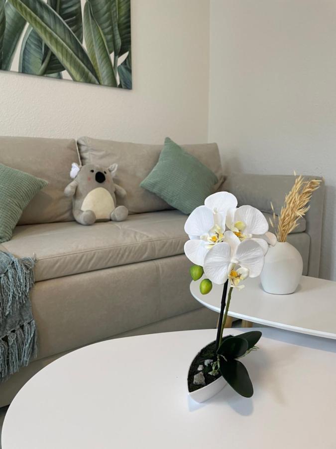 Lucky Stays Ls07 - Vollausstattung - Zentrum - Aufzug - Grosse Kueche - 2 Zimmer - Smart-Tv Magdeburg Ngoại thất bức ảnh